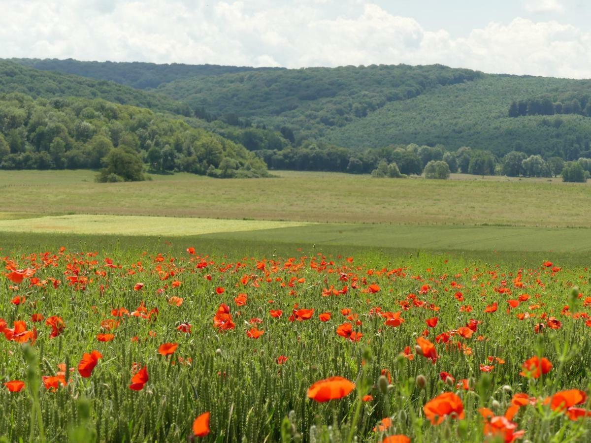 Domaine De La Mance - Maisonnette Avec Cheminee Vitrey-sur-Mance Bagian luar foto